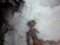 Foto 0 en  - Video de supuesto alien causa sensaci�n en Youtube