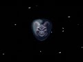 demons crest  snes  normal ending
