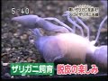 TV&Yabby Moult!! TV&Yabby Moult!!