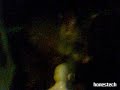 10 Foot Possum