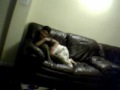 funny fighting directed by me and hamzah part 2