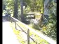Caminando por la montania