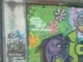 Yam - Socidas - Grafish