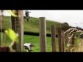 New Zealand in 4k
