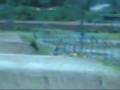 videos de Eitorzim bmx