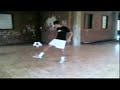 Siringo Freestyle