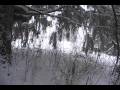 Joe Maffei: Emergency snow shelter part 2