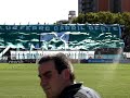 ferro web