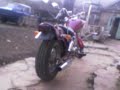 honda jazz 50 standard exhaust2