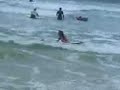 videos Surf
