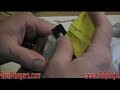 Beginners Taxidermy - Preparing for Mounting Part 2 Beginners Taxidermy - Preparing for Mounting Part 2