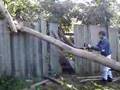 Calga Cottage Chainsaw 2
