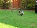Morley Bell 47g electric conversion.