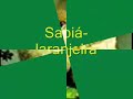 sabiá laranjeira   turdus rufiventris