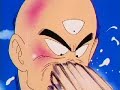 Tien Vs Master Roshi