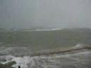 Windy