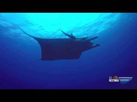 CONCENTRACIÓN DE MANTAS EN EL HIERRO