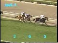 1988 San Luis Rey