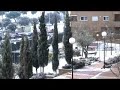 Nevada Madrid