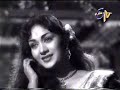 nannu vadili neevu polevule(manchi manasulu