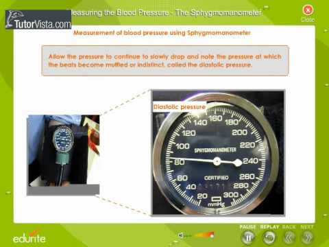 how to read a blood pressure gauge