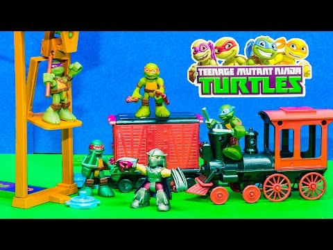 how to train turtles