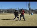 Cat Cannon Technique, a closer look.