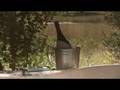 videos de Sabi Sabi Selati Camp