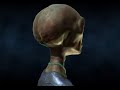 ufo-alien-abduction-greys-vs-reptilians-cg.html