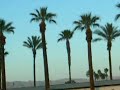 The Decemberists @ Coachella Pt. 1