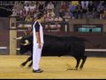 recortes i quiebros