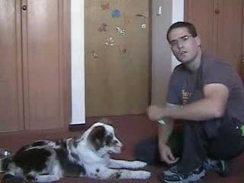 Dog Clicker Training - Teaching the Dog it's Name