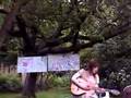 kate nash @ diy womp bbq