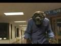 Completed Werewolf Costume -- See other videos for how-to!
