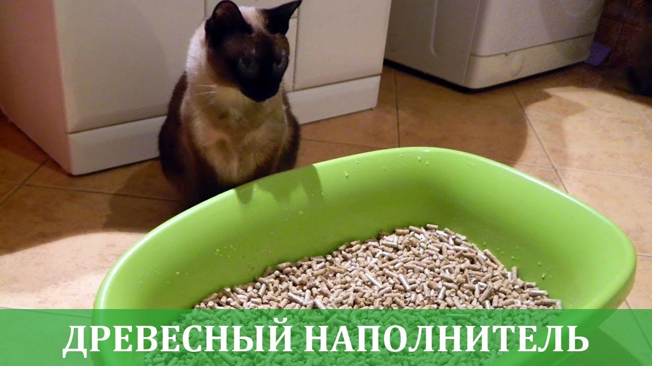 Древесный наполнитель как лучший вариант "цена-качество"