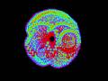 5 - Structure of Spacetime in the centre The Mandelbrot Fractal