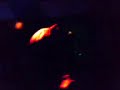Aithrio Club Oropos - Striptease Aithrio Club Oropos - Striptease