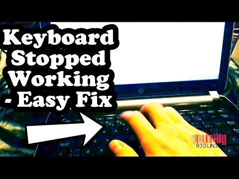 R3DLIN3S - Keyboard Stopped Working Windows 8 - Filter Keys Keyboard Stopped Working - Filter Keys - Windows 8 Windows 8 keyboard stopped working, filter keys is active. Filter keys keyboard stopped working...