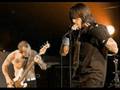 Red Hot Chili Peppers Funky Monks (live)