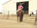 videos de Corydalis Jim - BIG, slow hunter/jumper prospect