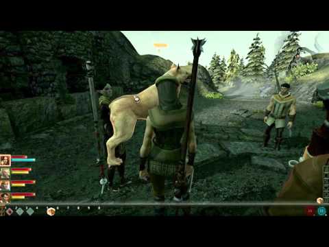 how to know age of dog