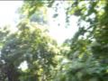 videos de Laurel Canyon Railroad