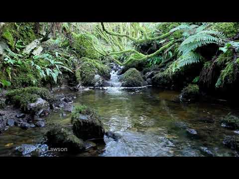 johnnielawson - Use the relaxing sounds of this beautiful tranquil waterfall in Beautiful 3D, as a natural sleep aid. Relax as you watch these 3Dwaterfall pictures, concentr...