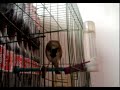 www.montada.mossasbird.com