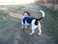 DSCF1177.MP4 DSCF1177.MP4