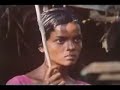 bodhi darma
