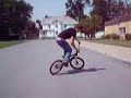 BMX1