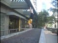 Freerunning...Like a fox Freerunning...Like a fox