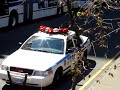 POLICE NEW YORK