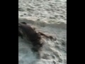 Inthesand